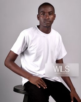 model