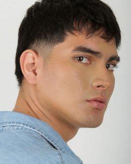 model